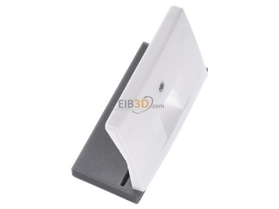View top left Berker 14070069 Central cover plate UAE/IAE (ISDN) 
