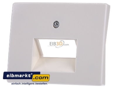 Front view Berker 14090002 Central cover plate UAE/IAE (ISDN)
