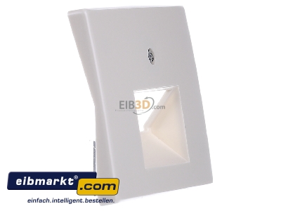 View on the left Berker 14090002 Central cover plate UAE/IAE (ISDN)
