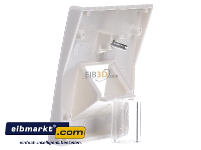 View on the right Berker 14090002 Central cover plate UAE/IAE (ISDN)
