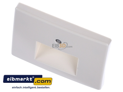 View up front Berker 14090002 Central cover plate UAE/IAE (ISDN)
