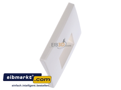 View top left Berker 14090002 Central cover plate UAE/IAE (ISDN)
