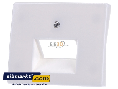 Front view Berker 14090069 Central cover plate UAE/IAE (ISDN)
