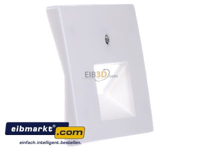 View on the left Berker 14090069 Central cover plate UAE/IAE (ISDN)
