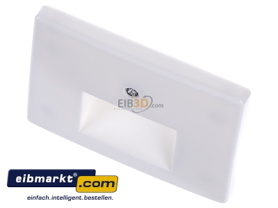 View up front Berker 14090069 Central cover plate UAE/IAE (ISDN)

