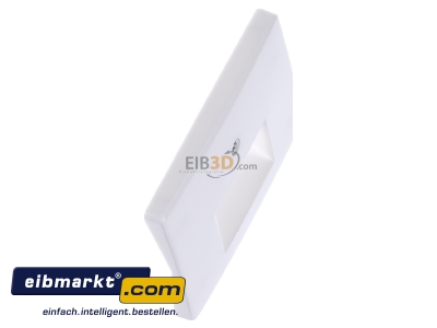 View top left Berker 14090069 Central cover plate UAE/IAE (ISDN)
