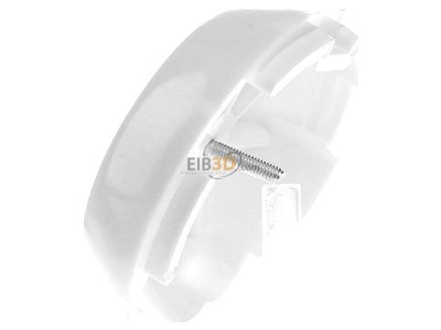 View on the right Berker 1037 Central cover plate cable exit 
