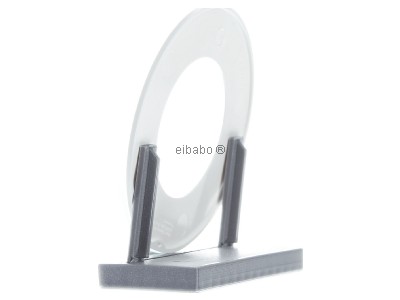 View on the right Berker 1091 Frame 1-gang 

