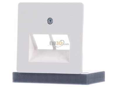 Frontansicht Berker 146909 Zentralplatte pws f.ISDN-Anschlussdose 