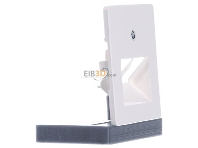 Ansicht links Berker 146909 Zentralplatte pws f.ISDN-Anschlussdose 