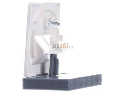 Ansicht rechts Berker 146909 Zentralplatte pws f.ISDN-Anschlussdose 