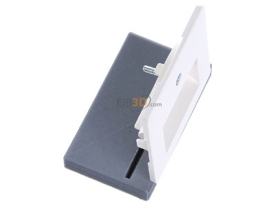 Ansicht oben links Berker 146909 Zentralplatte pws f.ISDN-Anschlussdose 