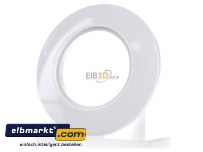 Frontansicht Berker 138109 Ringplatte 1f.pws 