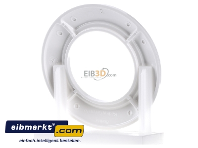 Ansicht hinten Berker 138109 Ringplatte 1f.pws 