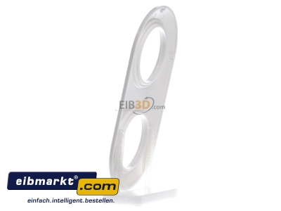 View on the right Berker 138129 Frame 2-gang white 
