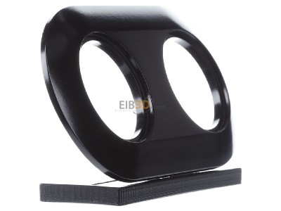 View on the left Berker 138121 Frame 2-gang black 
