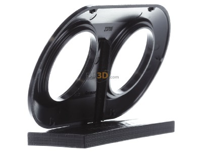 View on the right Berker 138121 Frame 2-gang black 
