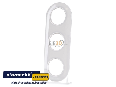 Frontansicht Berker 138139 Kombiplatte 3f.pws 
