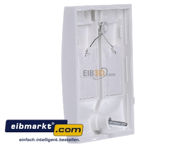 View on the right Berker 11811909 Central cover plate Modular Jack

