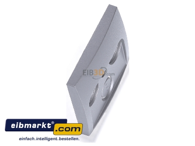 View top left Berker 12031404 Central cover plate 
