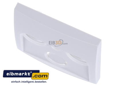 View up front Berker 12031909 Central cover plate
