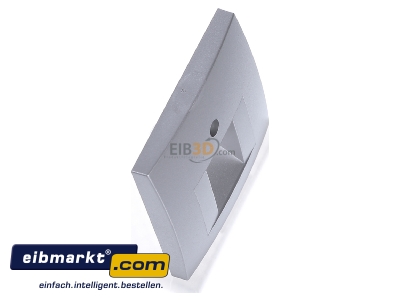 View top left Berker 14071404 Central cover plate UAE/IAE (ISDN) 
