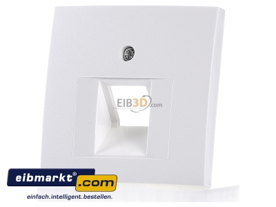 Front view Berker 14071909 Central cover plate UAE/IAE (ISDN) 
