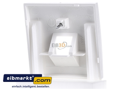 Back view Berker 14071909 Central cover plate UAE/IAE (ISDN) 
