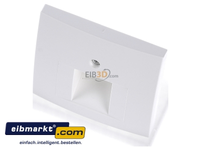 View up front Berker 14071909 Central cover plate UAE/IAE (ISDN) 
