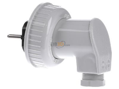 View on the right Gira 002031 Plug White 2031
