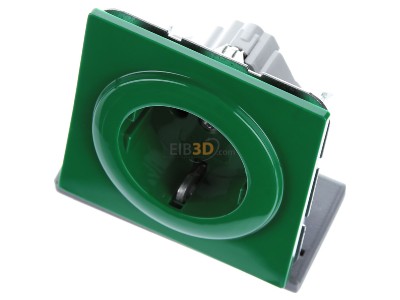 View up front Gira 045345 Schuko socket green with child protection, S-Color, 
