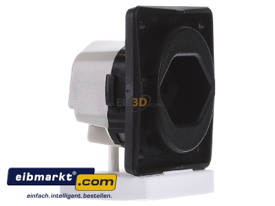 View on the left Berker 9624905 Socket outlet Swiss norm type 13 black
