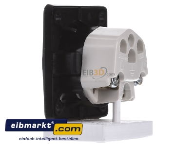 View on the right Berker 9624905 Socket outlet Swiss norm type 13 black
