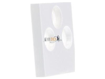 View on the left Gira 086903 Central cover plate 
