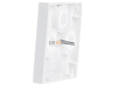 View on the right Gira 086903 Central cover plate 
