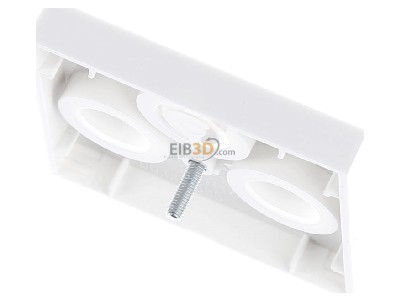 Ansicht oben hinten Gira 086903 Zentralplatte rws-gl fr Koax-Steckdose 
