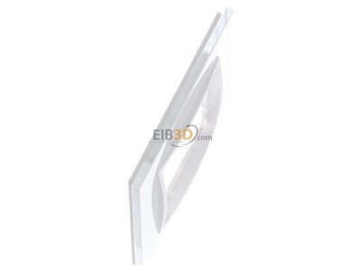 View top left Berker 10116909 Frame 1-gang white 
