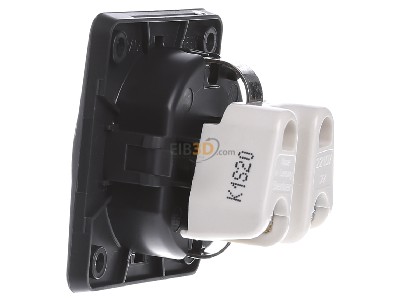 View on the right Berker 941852505 Socket outlet (receptacle) 
