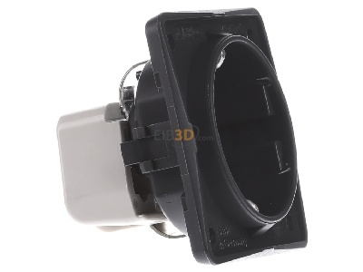 View on the left Berker 941952505 Socket outlet (receptacle) 
