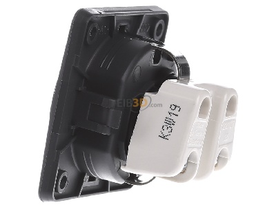 View on the right Berker 941952505 Socket outlet (receptacle) 
