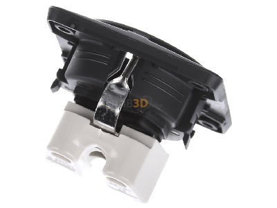 Top rear view Berker 941952505 Socket outlet (receptacle) 
