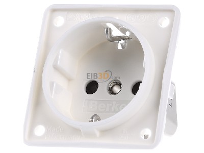 Front view Berker 941952502 Socket outlet (receptacle) 
