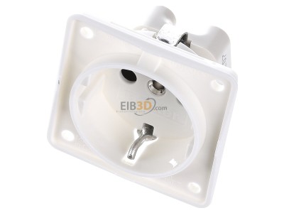 View up front Berker 941952502 Socket outlet (receptacle) 
