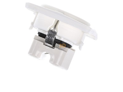 Top rear view Berker 941952502 Socket outlet (receptacle) 
