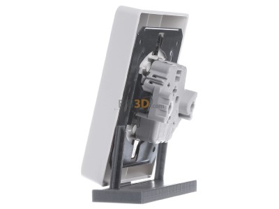 View on the right Gira 078804 Socket outlet (receptacle) 

