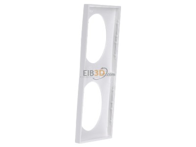 View on the right Berker 918262519 Frame 2-gang white 
