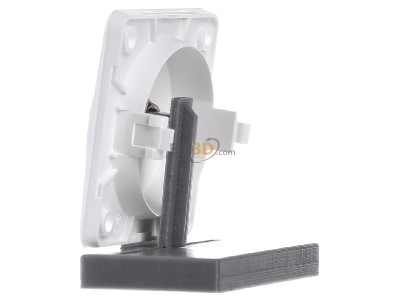 View on the right Berker 945192502 Antenna loop-through socket for antenna 
