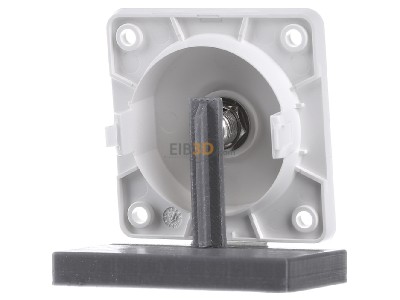 Back view Berker 945192502 Antenna loop-through socket for antenna 
