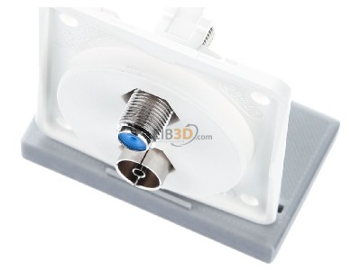 View up front Berker 945602502 Antenna loop-through socket for antenna 
