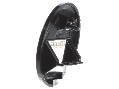 View on the right Berker 140901 Central cover plate UAE/IAE (ISDN) 
